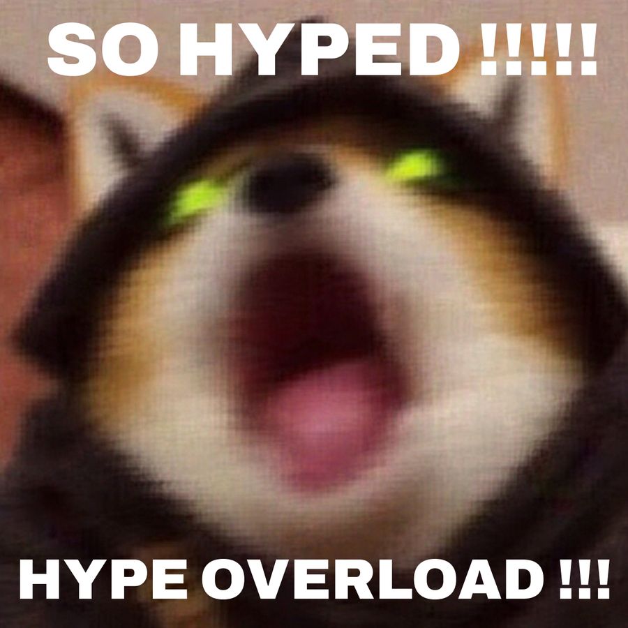 TAO WIF HOOD meme, hype overload