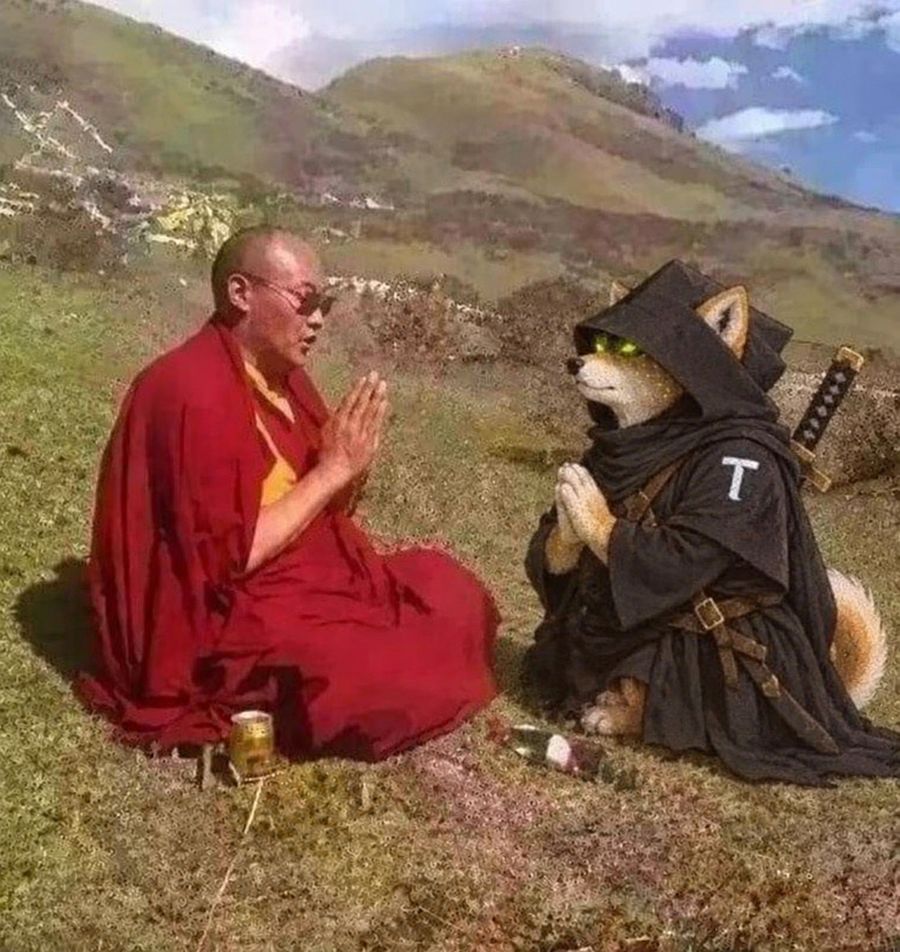 TAO WIF HOOD meme, sat with the monk