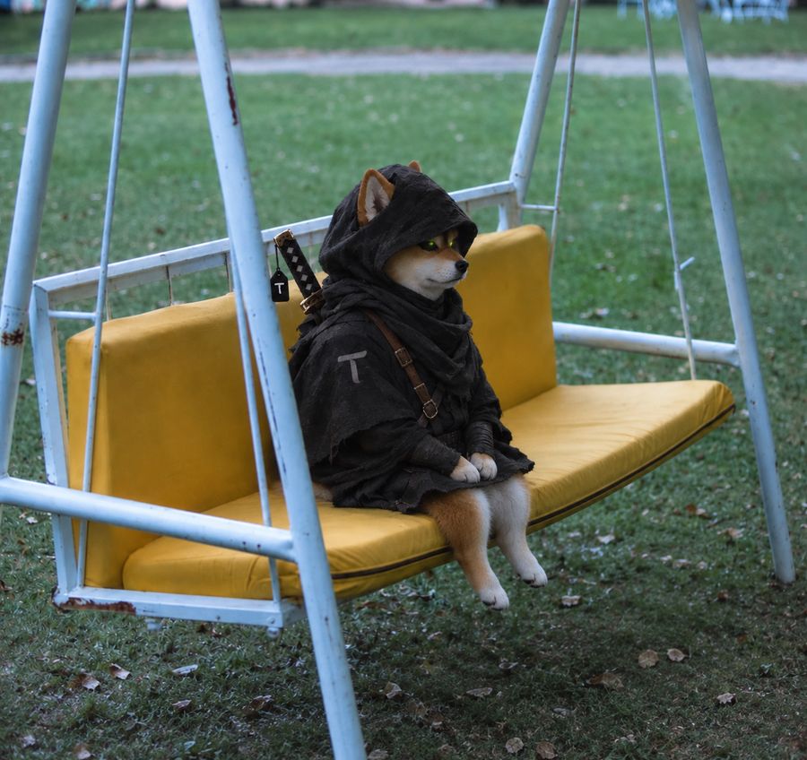 TAO WIF HOOD meme, alone on the swing