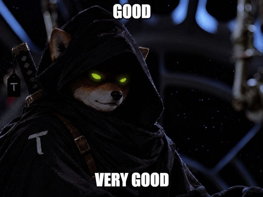 TAO WIF HOOD meme, good. very good.