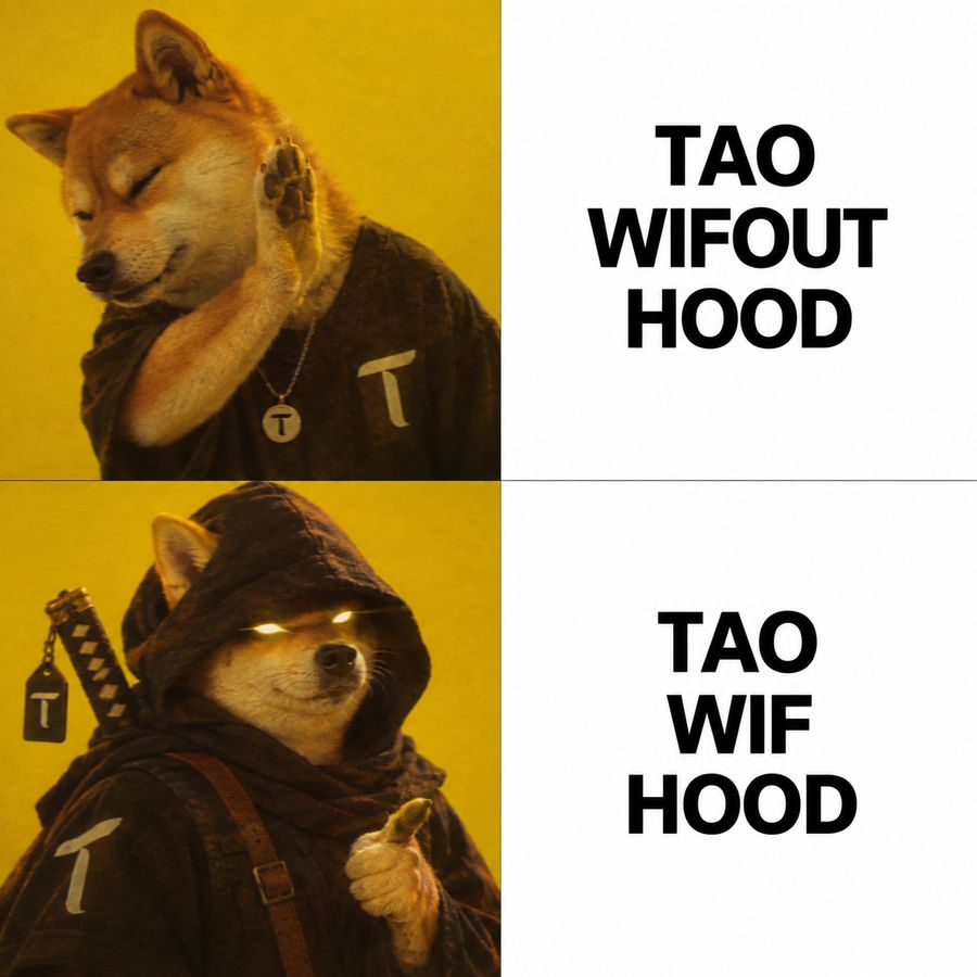 TAO WIF HOOD meme, wif hood, obviously